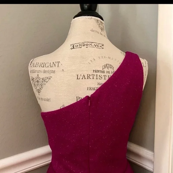 JOVANI SZ 8
FUCHSIA SHIMMER
ONE SHOULDER
FORMAL COCKTAIL
DRESS WITH POCKETS New - Picture 3 of 10